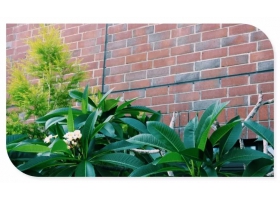 想不到，劈開磚和功夫居然是這種關(guān)系